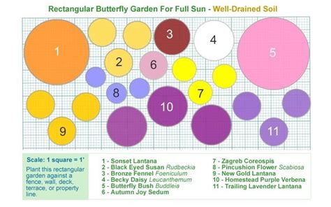 Butterfly Garden Zone 4 - Garden Plant