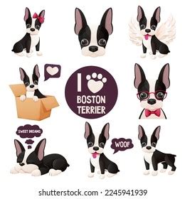 Set Cute Boston Terrier Stickers Cool Stock Vector (Royalty Free ...