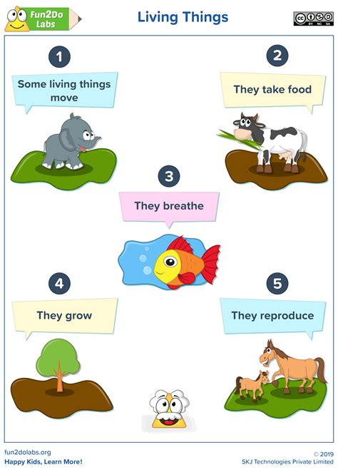 Characteristics Of Living Things Worksheet