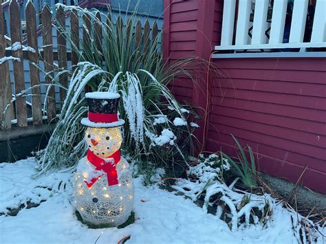 Metro Vancouver wakes up to first snowfall of the season (PHOTOS) | News