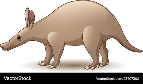 Cartoon aardvark isolated on white background Vector Image