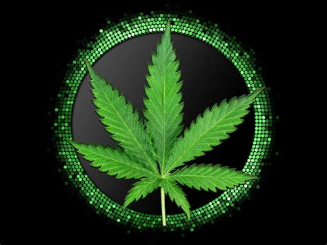 Weed Leaf Black Background