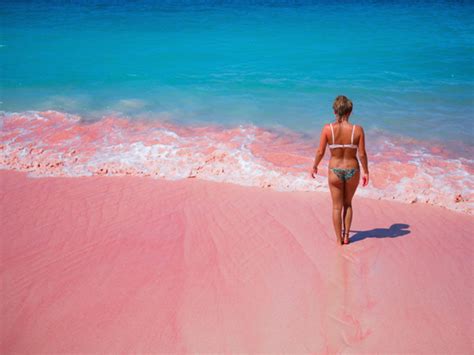 7 Most Striking Pink Beaches of the World - Travelstart.co.za