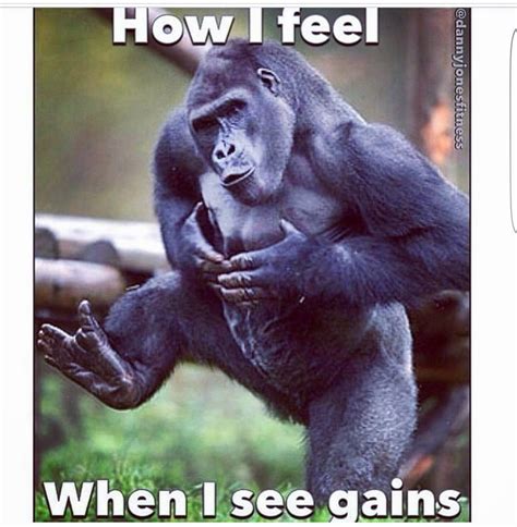 Primates, Workout Memes, Gym Memes, Workouts, Animals And Pets, Funny Animals, Cute Animals, Gym ...