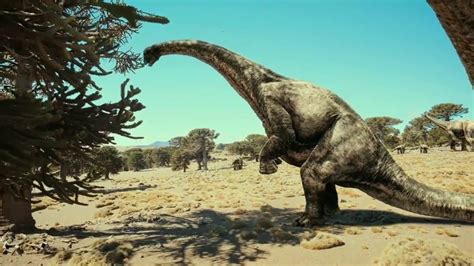 Does the Bible (Job 40) Describe a Sauropod Dinosaur (Behemoth) (ver.2)?