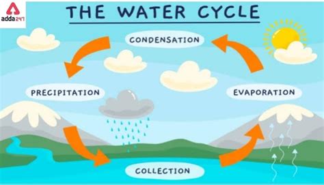 Water Cycle Diagram, Drawing for Kids of Class 3, 4 with Explanation