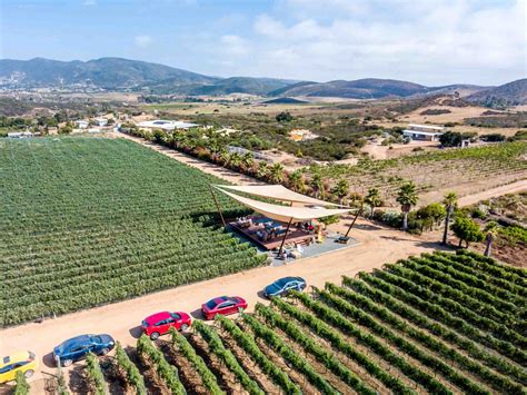 Complete Guide to the Valle de Guadalupe Wineries in Baja, Mexico