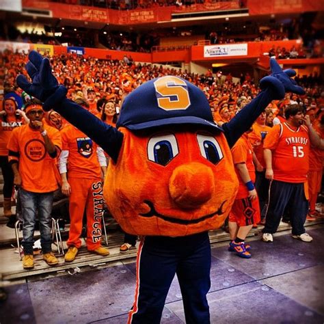 Hashgram | Show Details | Syracuse, Syracuse university, Mascot