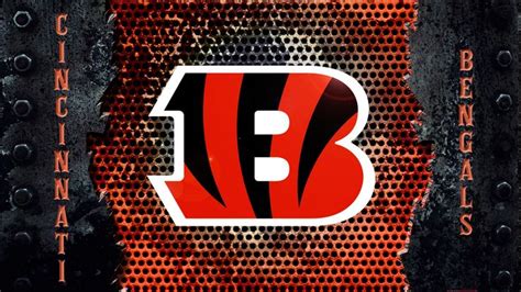 Cincinnati Bengals Wallpaper HD - 2024 NFL Football Wallpapers | Cincinnati bengals, Nfl ...