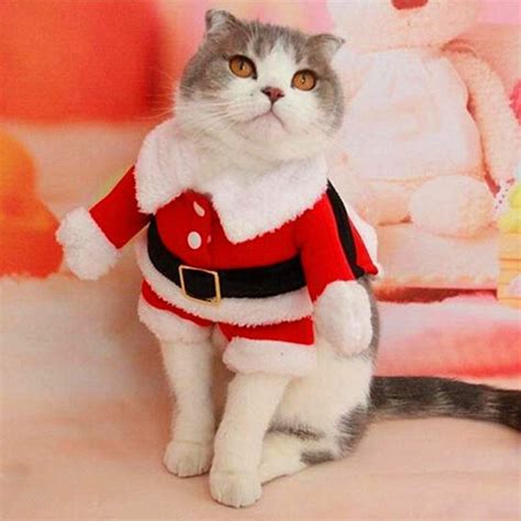 Bolbove Santa Claus Suit Costume For Cats | Best Gifts For Cats | POPSUGAR Family Photo 3