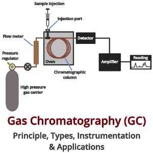 Gas Chromatography (GC): Principle, Types, Instrumentation ...