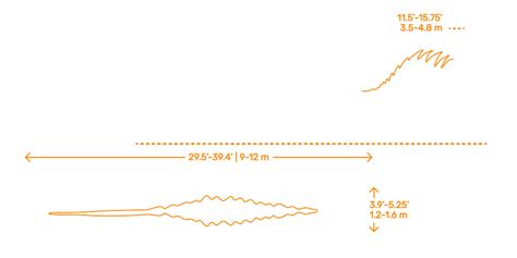 Iguanodon (Iguanodon bernissartensis) Dimensions & Drawings | Dimensions.com