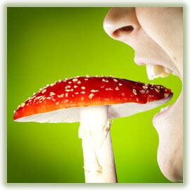 What Are Hallucinogens? Hallucinogens Withdrawal Symptoms, Signs Of Use