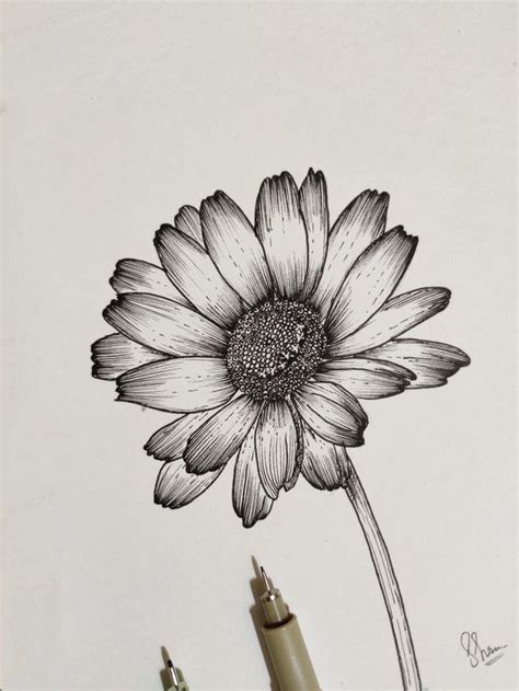 The Daisy • micron pen art | Pen art drawings, Pen art, Micron pen art