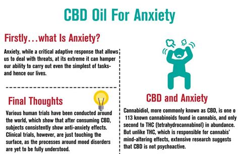 Taking CBD Oil for Anxiety - [WORKS] New Guide | Cheef Botanicals