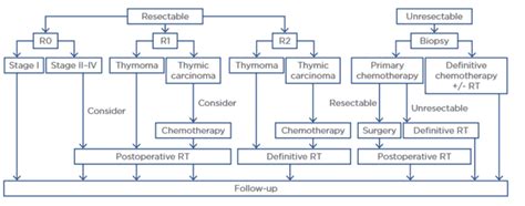 Thymoma Treatment Strategy [15] | Download Scientific Diagram