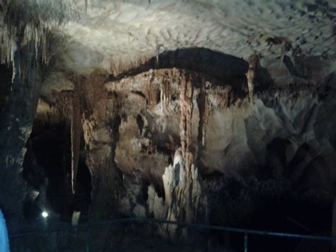 Grottes de Pech Merle - Tours - Pech Merle, Cabrerets, Lot, France ...