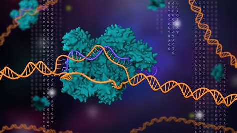 Revolutionary gene editing tool CRISPR wins the chemistry Nobel | Dna, Rna sequencing, Nobel ...