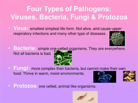 PPT - Communicable and Non-Communicable Diseases PowerPoint Presentation - ID:3107187