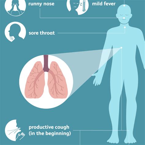 Bronchitis as related to Bronchiolitis - Pictures