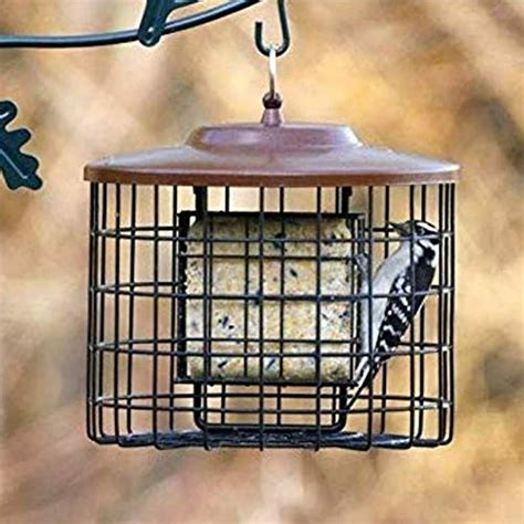 Squirrel-X Squirrel Proof Double Suet Feeder, Cage Bird Feeder in 2021 ...