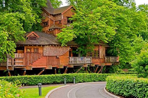 Alnwick Treehouse | Garden tree house, Cool tree houses, Alnwick treehouse