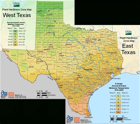 Texas Planting Zones Map | Printable Maps