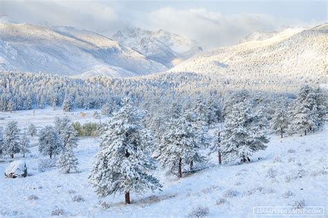 Rocky Mountain National Park Snow