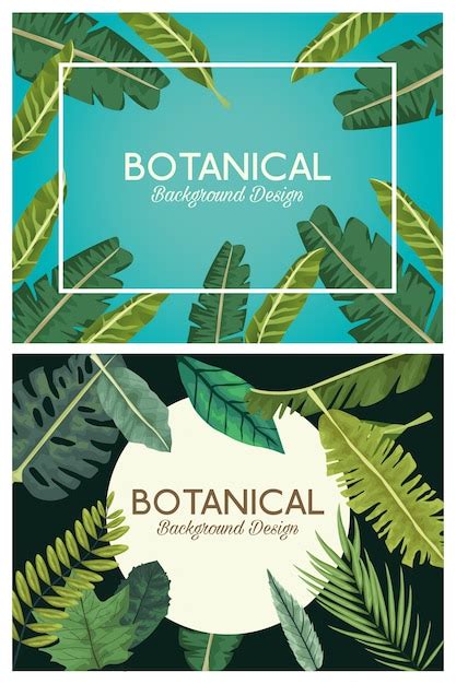 Premium Vector | Botanical background set