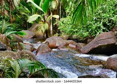 341 Seychelles Waterfalls Images, Stock Photos & Vectors | Shutterstock