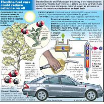 MOTORING: Flexible fuel vehicles infographic