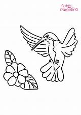 Hummingbird And Flower Coloring Page For Kids  FirstCry Parenting sketch template