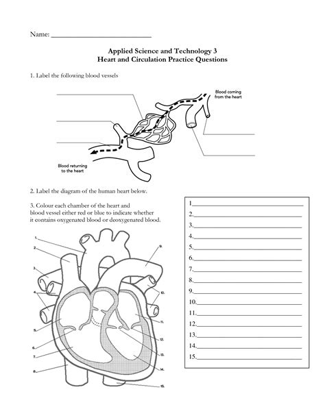 16 Heart Labeling Worksheet / worksheeto.com