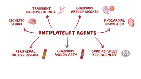 Antiplatelet agents: Nursing pharmacology - Osmosis Video Library