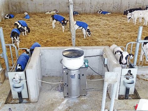 GEA Automatic Calf Feeder - Dairy Lane Systems