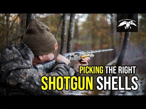 What Size Shot is Needed for Duck Hunting? - StuffSure