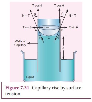 Surface Tension by capillary rise method