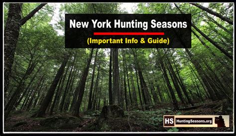 New York Hunting Seasons 2023 [Latest NYS Hunting Rules] - HuntingSeasons.Org