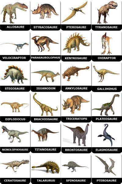 cartes à imprimer dinosaures | Dinosaure, Image dinosaure, Dinosaure préscolaire