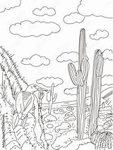 Desert Plant Coloring Pages sketch template