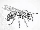 Unwind With Wasp Coloring Therapy  Page sketch template