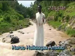 Oromo Orthodox Mezmur in Afaan Oromo - F/taa Firaa'ol - Maqaa gaarii yaa Waaqakoo" | By ...