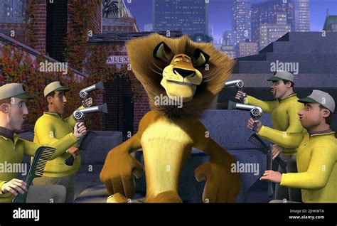 ALEX THE LION, MADAGASCAR, 2005 Stock Photo - Alamy