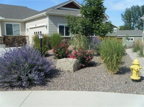 Best Xeriscape Landscaping Colorado Inspirations 2132 | Xeriscape landscaping, Xeriscape, Front ...