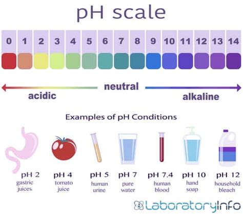 Urine Ph Color Chart