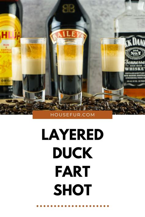 Duck Fart Shot Recipe