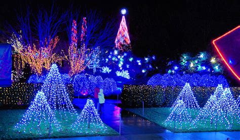 Winter Lights at NC Arboretum Photo Tour