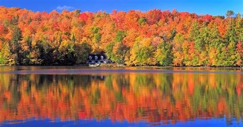 The Fall Foliage Is Officially At Its Peak In These Quebec Towns | Fall ...