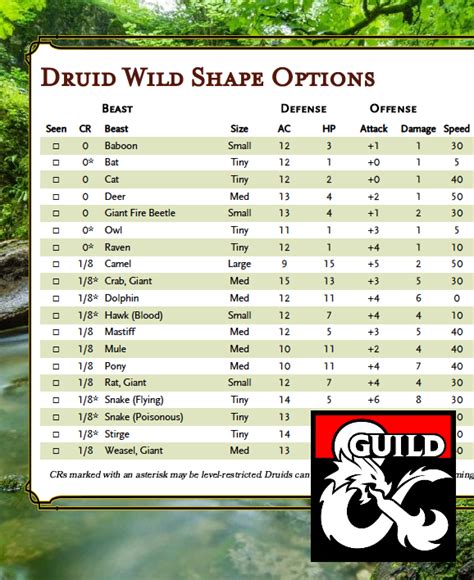 Druid Wild Shape Options by CR - Dungeon Masters Guild | Dungeon Masters Guild