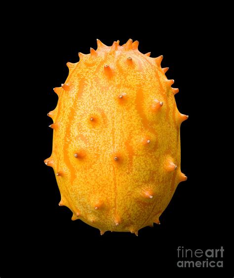 Kiwano Fruit Digital Art by Danny Smythe | Fine Art America